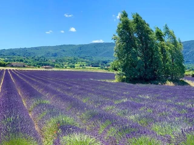 PuyvertBastide Du Buou公寓 外观 照片